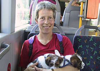 Parson Russell Terrier Zucht Ausflug mit Bus und Zug