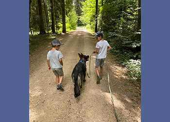 Ferienhunde auf der Parson Russell Terrier Zucht