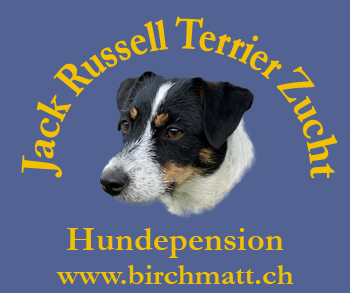 Logo Parson Russell Terrier Zucht Birchmatt.ch