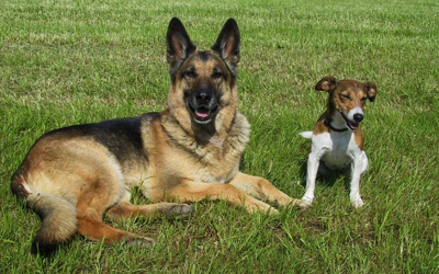 Jena's Freunde Banja & Sanny